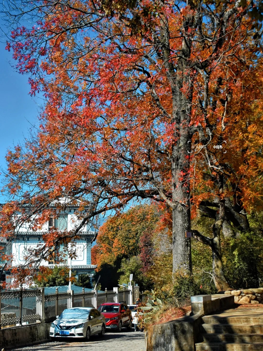 我找到了大理彩虹森林❗正是橙黄橘绿时_9_大脚CL_云南-来自52tours 我爱旅游网